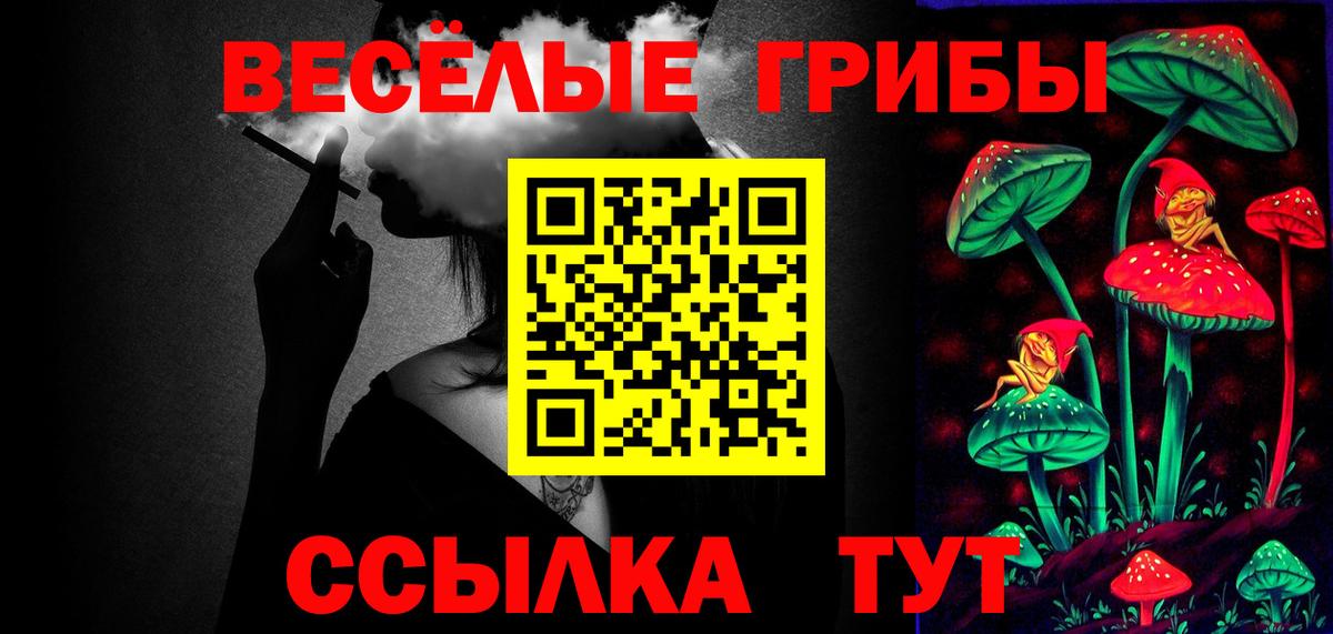Псилоцибиновые грибы Cubensis  Вход с VPN  Мариинск 