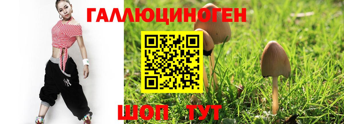 Галлюциногенные грибы GOLDEN TEACHER Мариинск